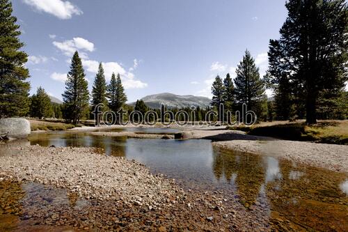 озеро, горы, дерево, лес, берег